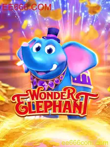 WonderElephant